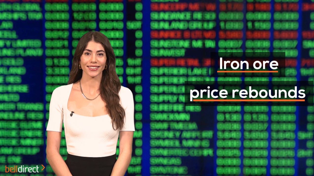 Iron ore price rebounds